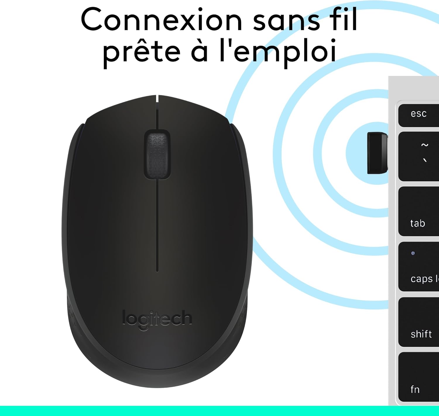 LOGITECH Mouse M171 (Noir)