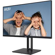 MSI Pro MP251P monitor