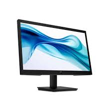 HP P22v G5 Monitor